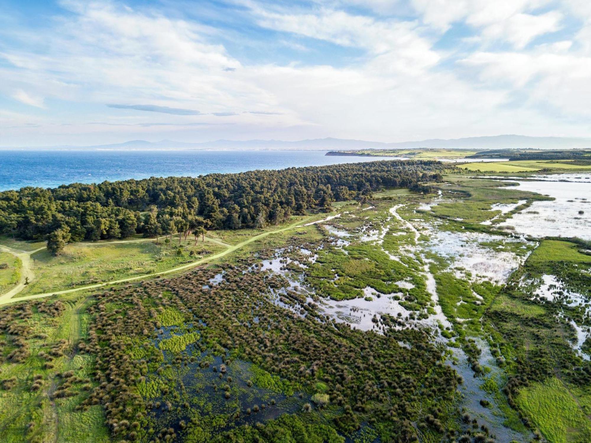 Sani Beach Buitenkant foto